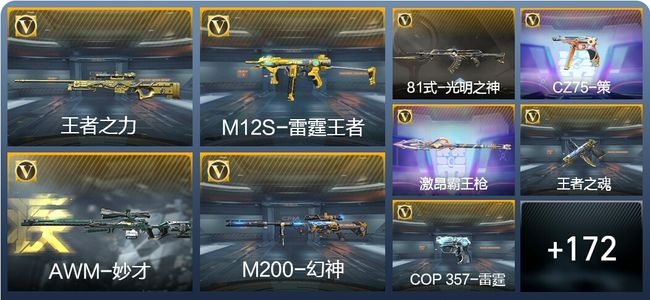 穿越火线：枪战王者V6 14王者武器 224英雄武器 5英雄角色 369万化 枪皇