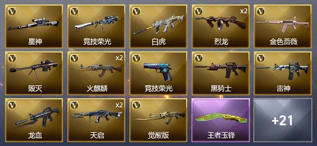 穿越火线（CF）1传说武器 1王者武器 51V武器 17皮肤 可排位 宗师