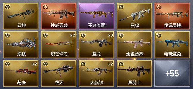 穿越火线（CF）2传说武器 5王者武器 1炫金武器 77V武器 2V角色 21皮肤 可排位 传奇