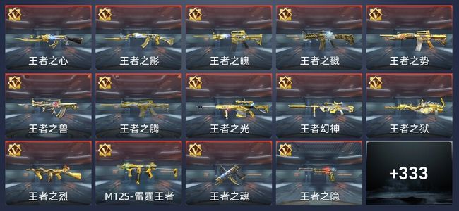 穿越火线：枪战王者46王者 335英雄武器 12英雄角色 561万化 专家S