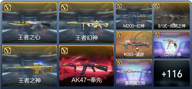 穿越火线：枪战王者V6 8王者武器 137英雄武器 4英雄角色 207万化 专家S