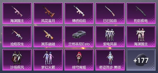 和平精英【苹果版】2载具 7升级枪 7粉装 4尾迹 109套装 5,0928热力 8印记