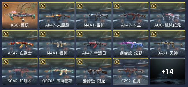 穿越火线：枪战王者V2 29英雄武器 66万化 新锐