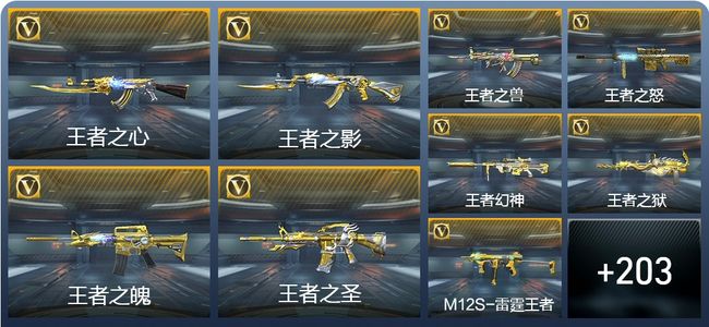 穿越火线：枪战王者V8 31王者武器 226英雄武器 4英雄角色 455万化 枪圣