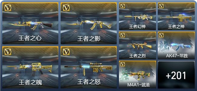 穿越火线：枪战王者V9 15王者武器 232英雄武器 6英雄角色 396万化 枪圣