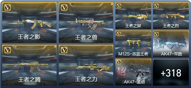 穿越火线：枪战王者V9 21王者武器 358英雄武器 10英雄角色 646万化 枪皇SSS