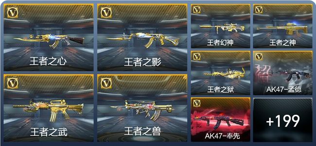 穿越火线：枪战王者V9 28王者武器 228英雄武器 8英雄角色 401万化 枪皇S