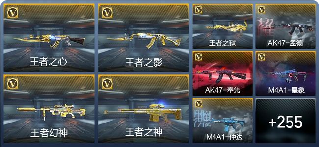 穿越火线:枪战王者V8 21王者武器 311英雄武器 11英雄角色 603万化 枪圣SSS