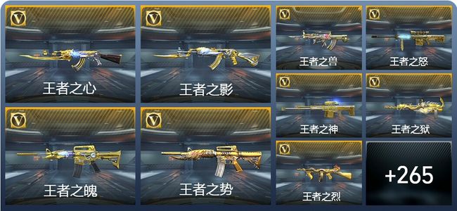 穿越火线：枪战王者V9 31王者武器 294英雄武器 10英雄角色 608万化 传奇