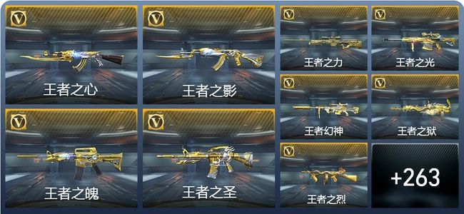 穿越火线：枪战王者V9 29王者武器 295英雄武器 11英雄角色 604万化 传奇