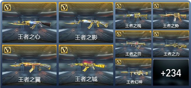 穿越火线：枪战王者V9 34王者武器 265英雄武器 7英雄角色 441万化 枪圣