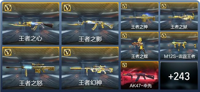 穿越火线：枪战王者V8 21王者武器 278英雄武器 7英雄角色 548万化 专家S