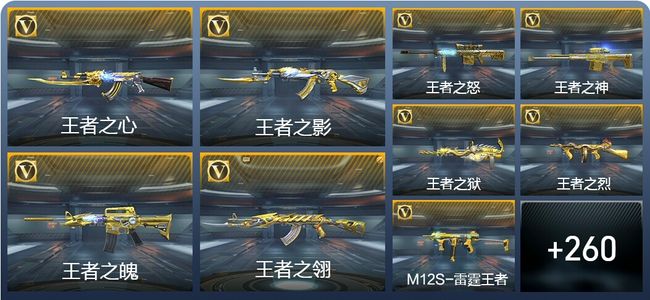 穿越火线：枪战王者V9 35王者武器 289英雄武器 16英雄角色 551万化 专家S