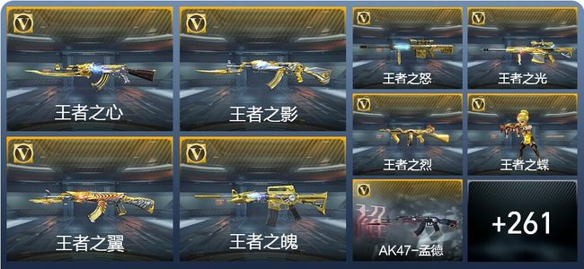 穿越火线：枪战王者V9 16王者武器 290英雄武器 11英雄角色 599万化 枪王