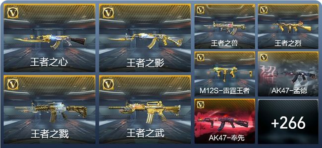 穿越火线：枪战王者V9 17王者武器 304英雄武器 7英雄角色 504万化 专家S