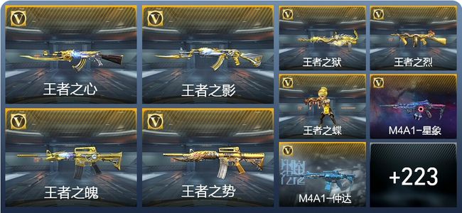 穿越火线：枪战王者V9 24王者武器 253英雄武器 8英雄角色 365万化 专家S