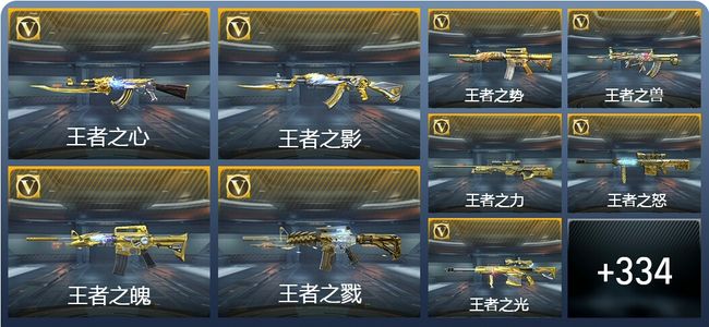 穿越火线：枪战王者V10 51王者武器 370英雄武器 11英雄角色 839万化 枪王SS