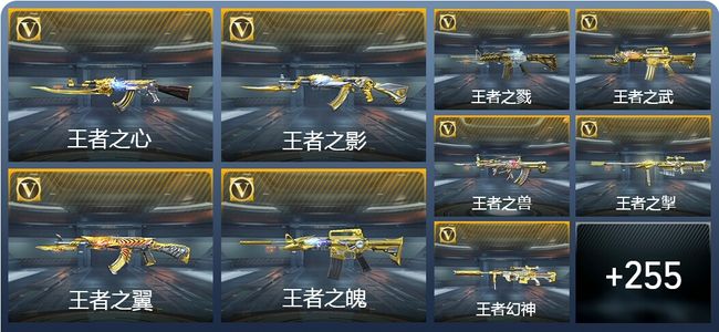 穿越火线：枪战王者V9 36王者武器 285英雄武器 13英雄角色 485万化 专家S