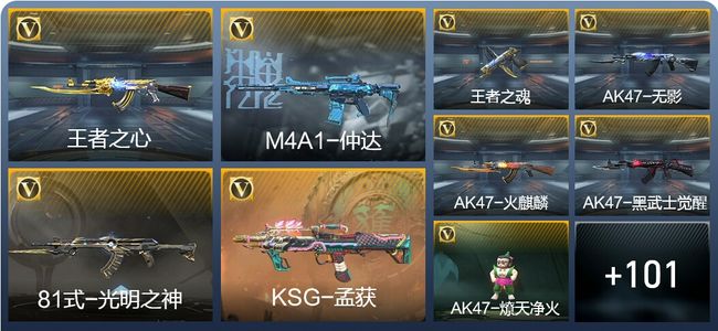 穿越火线：枪战王者V6 5王者武器 121英雄武器 1英雄角色 208万化 专家