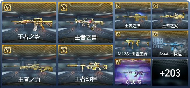 穿越火线：枪战王者V9 24王者武器 264英雄武器 8英雄角色 546万化 枪圣