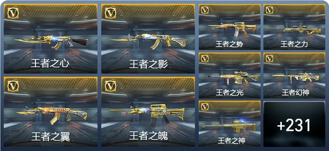 穿越火线：枪战王者V9 31王者武器 279英雄武器 13英雄角色 538万化 枪皇SS