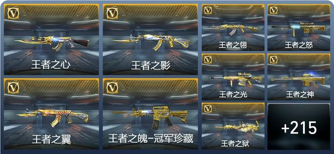 穿越火线：枪战王者V9 29王者武器 264英雄武器 8英雄角色 344万化 枪皇SSS