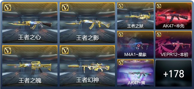 穿越火线：枪战王者V8 10王者武器 202英雄武器 7英雄角色 375万化 专家S