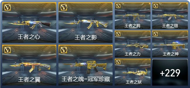 穿越火线：枪战王者V9 40王者武器 263英雄武器 6英雄角色 457万化 大师SS