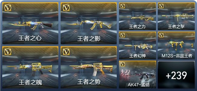 穿越火线：枪战王者V8 30王者武器 270英雄武器 4英雄角色 548万化 枪皇SSS