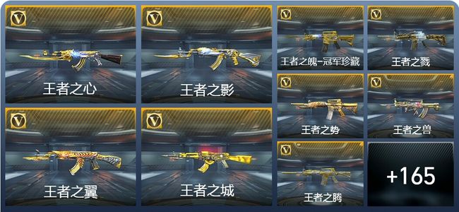 穿越火线：枪战王者V9 40王者武器 200英雄武器 5英雄角色 325万化 精英