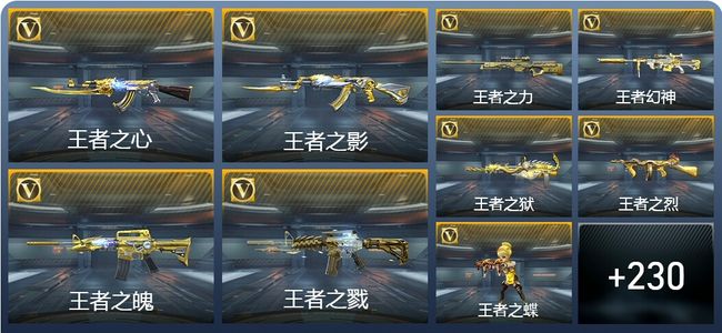 穿越火线：枪战王者V9 25王者武器 259英雄武器 5英雄角色 572万化 枪王