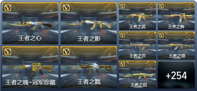 穿越火线：枪战王者V10 37王者武器 300英雄武器 6英雄角色 513万化 枪圣SSS