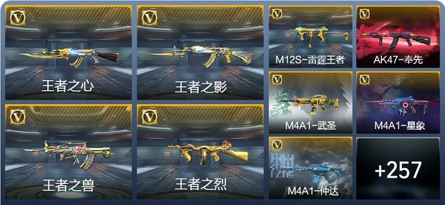 穿越火线：枪战王者V8 21王者武器 291英雄武器 8英雄角色 679万化 大师SS