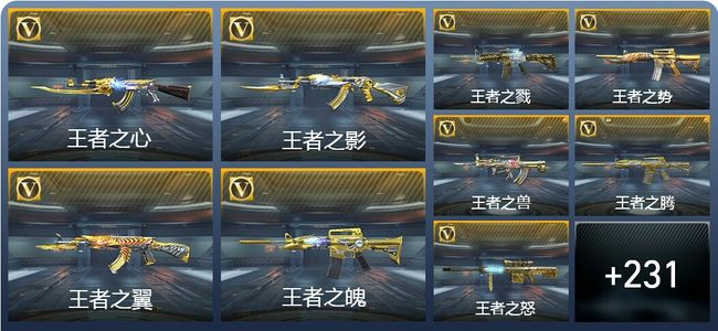 穿越火线：枪战王者V9 32王者武器 273英雄武器 21英雄角色 525万化 枪圣SS