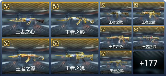 穿越火线：枪战王者V9 355英雄武器 新锐