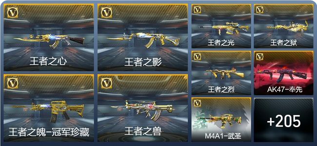 穿越火线：枪战王者V8 426英雄武器 新锐