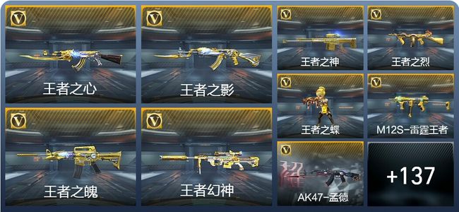 穿越火线：枪战王者V8 309英雄武器 新锐