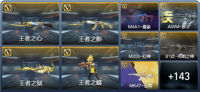 穿越火线：枪战王者V6 289英雄武器 新锐