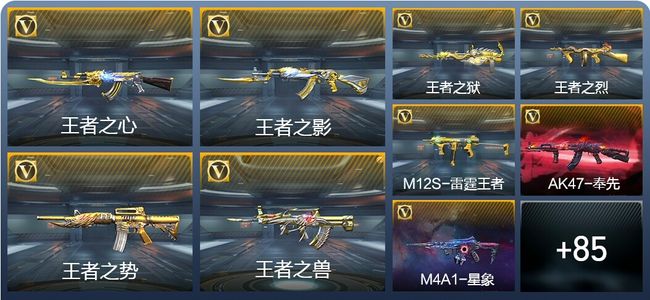 穿越火线：枪战王者V8 121英雄武器 新锐