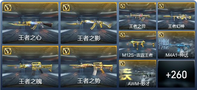 穿越火线：枪战王者V8 14王者武器 315英雄武器 6英雄角色 386万化 枪王