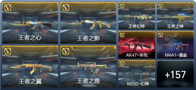 穿越火线：枪战王者V7 263英雄武器 新锐