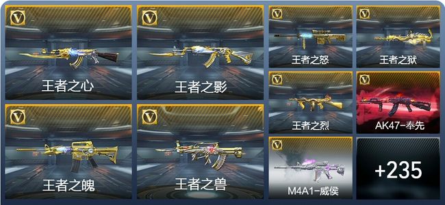 穿越火线：枪战王者V8 379英雄武器 新锐