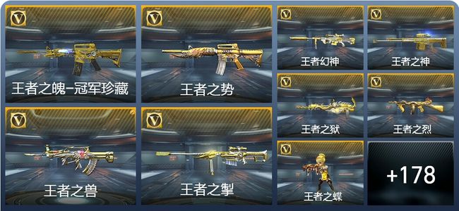 穿越火线：枪战王者V8 27王者武器 208英雄武器 5英雄角色 561万化 专家