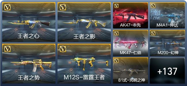 穿越火线：枪战王者V6 213英雄武器 新锐