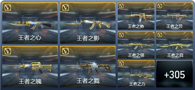 穿越火线：枪战王者V9 503英雄武器 新锐