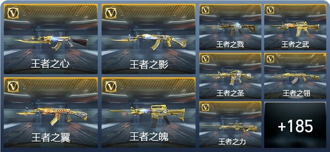 穿越火线：枪战王者V10 309英雄武器 新锐