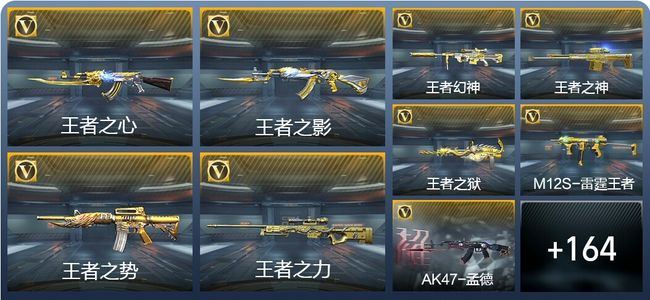 穿越火线：枪战王者V8 268英雄武器 新锐