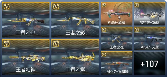 穿越火线：枪战王者V6 179英雄武器 新锐