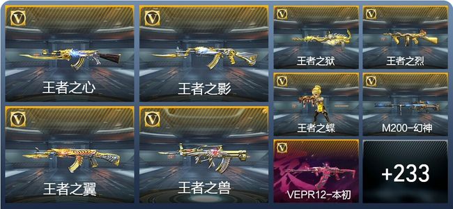 穿越火线：枪战王者V8 15王者武器 406英雄武器 新锐