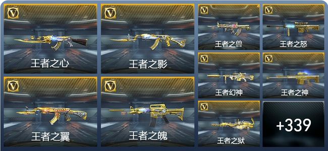 穿越火线：枪战王者V10 534英雄武器 新锐